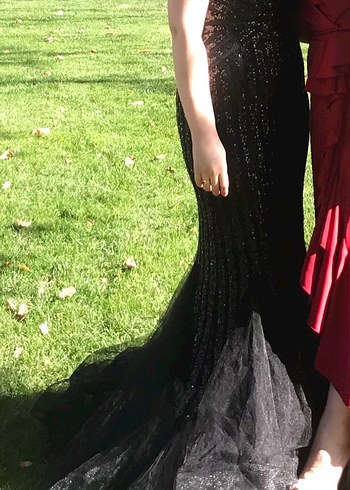 Siyah İşlemeli V Yaka Uzun Abiye Elbise - Görsel 3