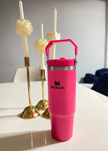 Stanley Parlak Haki Çocuk Termosu - Görsel 2