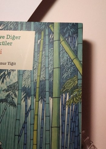 Yeşil Bambu ve Diğer Fantastik Öyküler - Osamu Dazai - Görsel 2