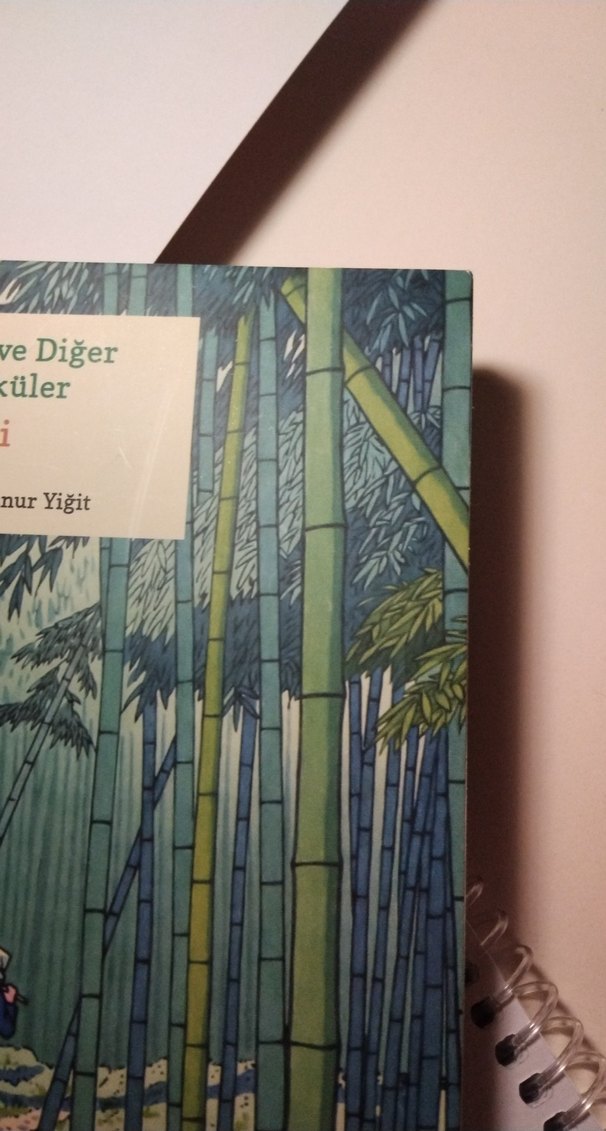 Yeşil Bambu ve Diğer Fantastik Öyküler - Osamu Dazai - Görsel 2