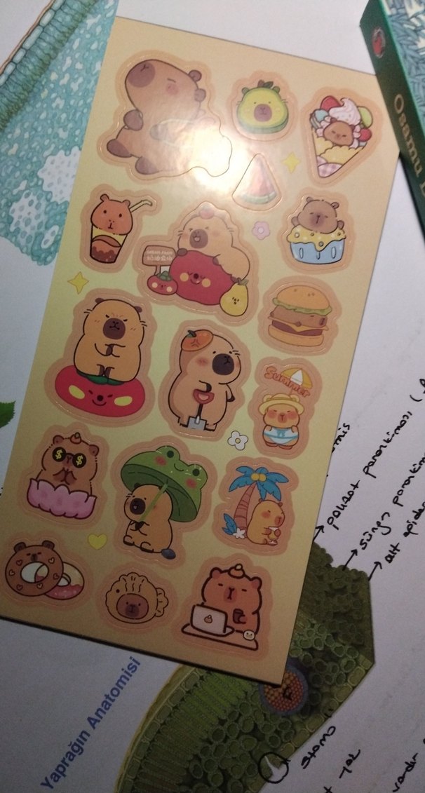 Yeşil Bambu ve Diğer Fantastik Öyküler - Osamu Dazai - Görsel 3