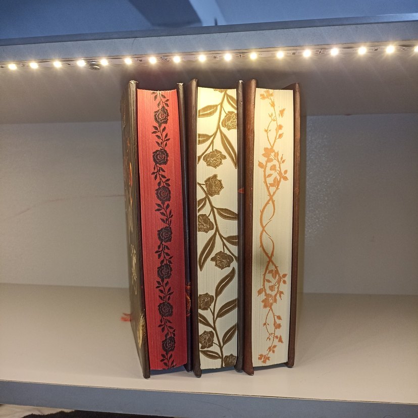 R. Ideli - Eflal Roman Seti (3 Kitap) - Görsel 5