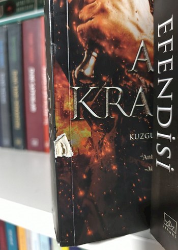 Kuzgunun Gölgesi - Anthony Ryan - Görsel 4