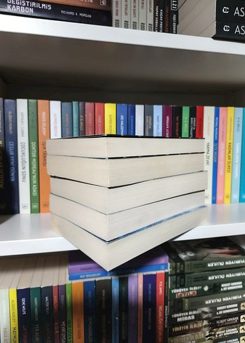 Jay Ronansinga - Donmuş Mükemmel Kurban - Görsel 5