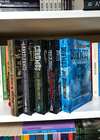 Jay Ronansinga - Donmuş Mükemmel Kurban - Görsel 2