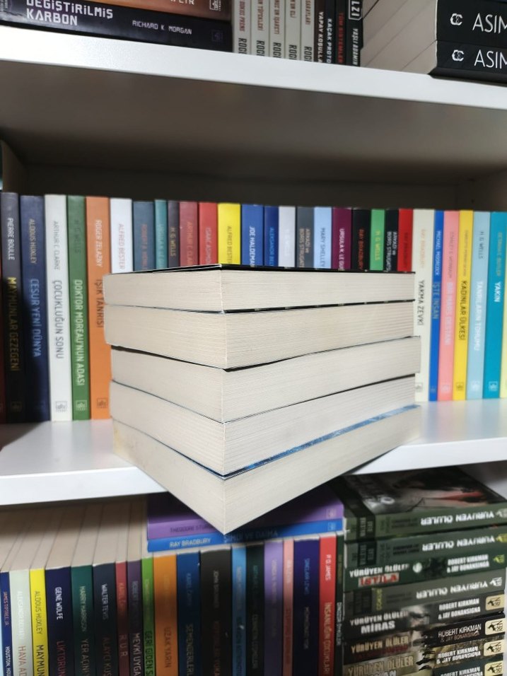 Jay Ronansinga - Donmuş Mükemmel Kurban - Görsel 5