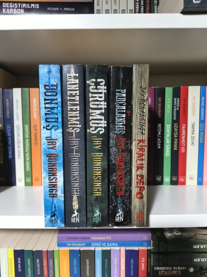 Jay Ronansinga - Donmuş Mükemmel Kurban - Görsel 3