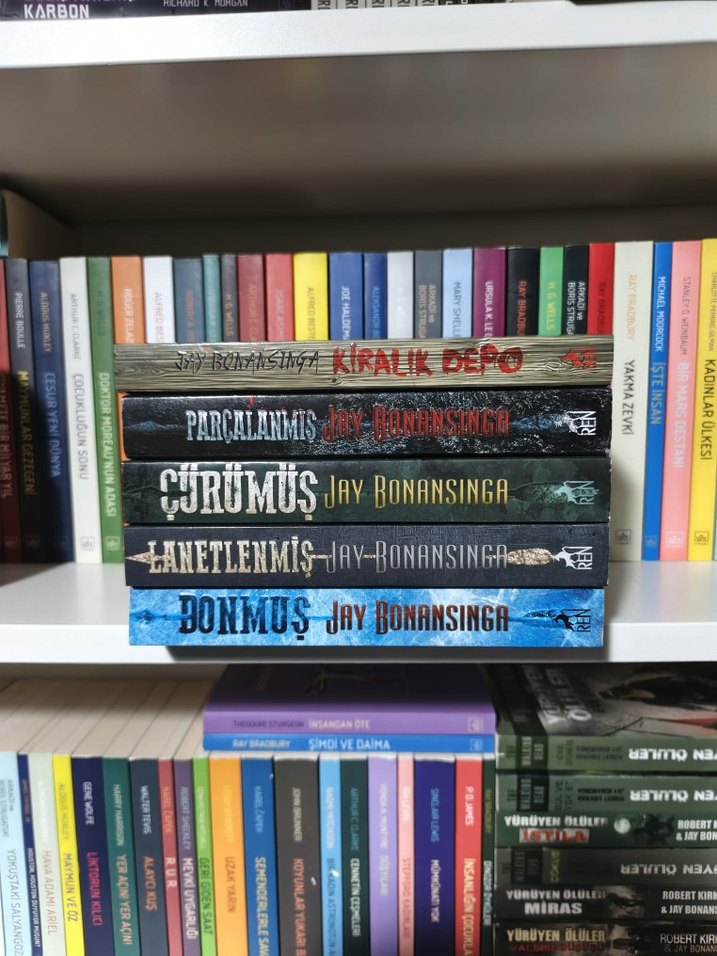 Jay Ronansinga - Donmuş Mükemmel Kurban - Görsel 4