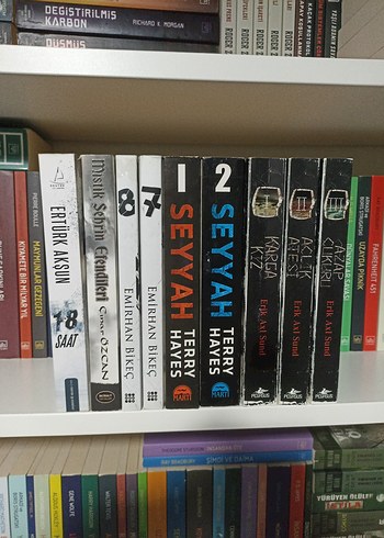 Çeşitli polisiye gerilim kitaplar - Görsel 2