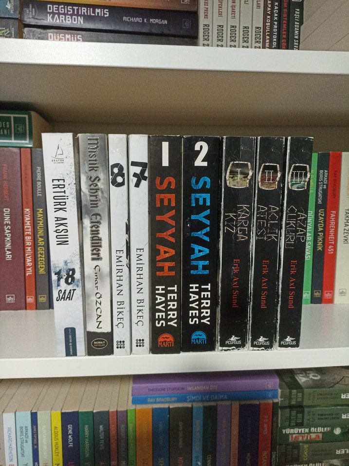 Çeşitli polisiye gerilim kitaplar - Görsel 2