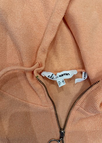 Oranj Kapüşonlu Fermuarlı Rahat Sweatshirt - Görsel 2