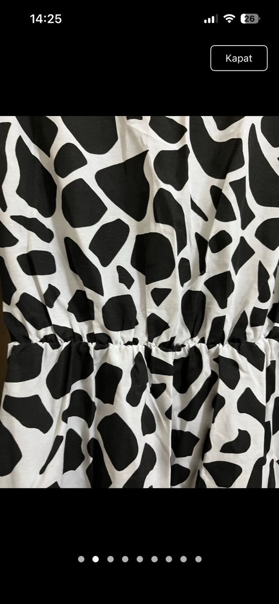 Uzun Kol Zebra Desenli Salaş Elbise - Görsel 3