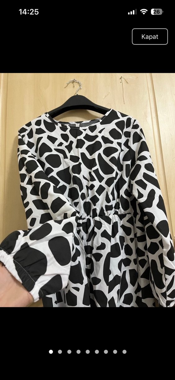 Uzun Kol Zebra Desenli Salaş Elbise - Görsel 2