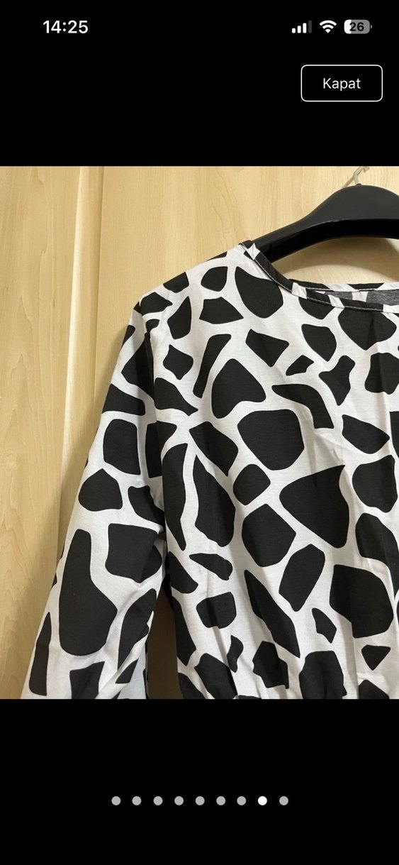 Uzun Kol Zebra Desenli Salaş Elbise - Görsel 4