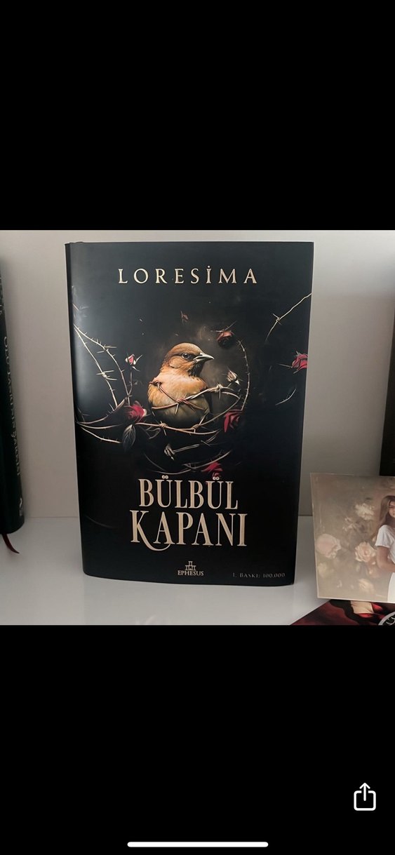 Bülbül kapanı 1 kutulu ciltli set - Görsel 4