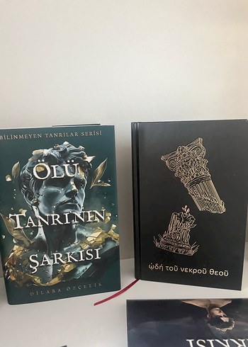 Ölü Tanrının Şarkısı - Dilara Özçelik ciltli kutulu set - Görsel 6