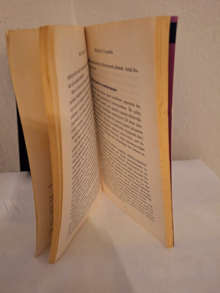 Meleklerle Yaşamak - Beki İkala Erikli orjinal - Görsel 4