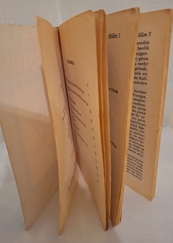 Meditasyon - James Hewitt orjinal - Görsel 4