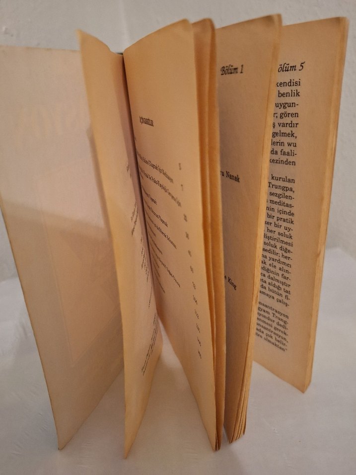 Meditasyon - James Hewitt orjinal - Görsel 4