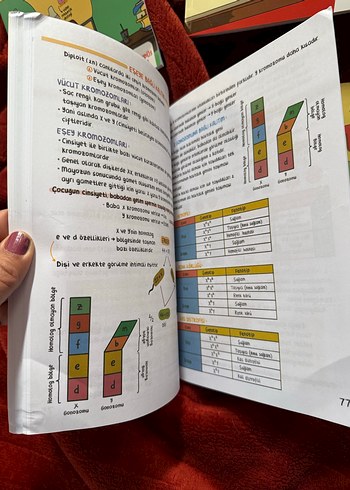 TYT Ders Notları Seti yeni hiç kullanılmamış - Görsel 10