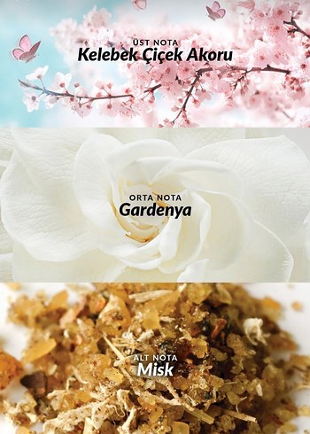 Kadın Parfümü Şık Cam Şişede - Görsel 4