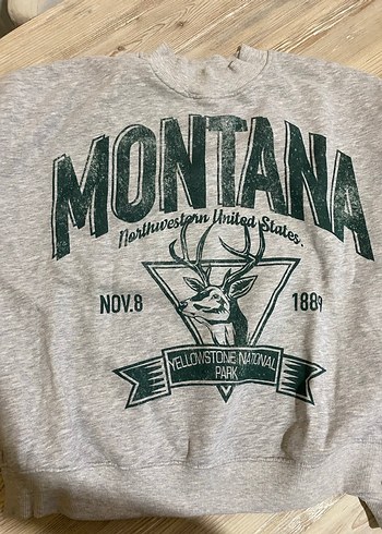 Gri Baskılı Kadın Sweatshirt - Görsel 2