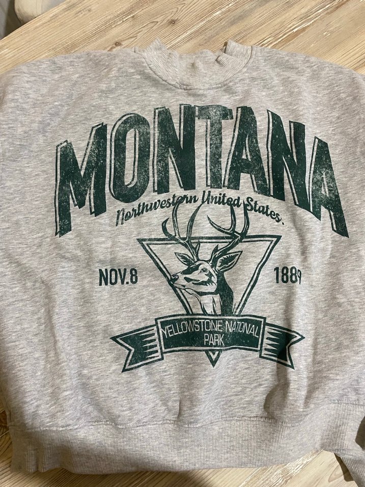 Gri Baskılı Kadın Sweatshirt - Görsel 2