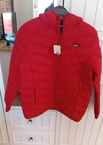 Parlak Kırmızı Erkek Çocuk Fermuarlı Mont - Görsel 5