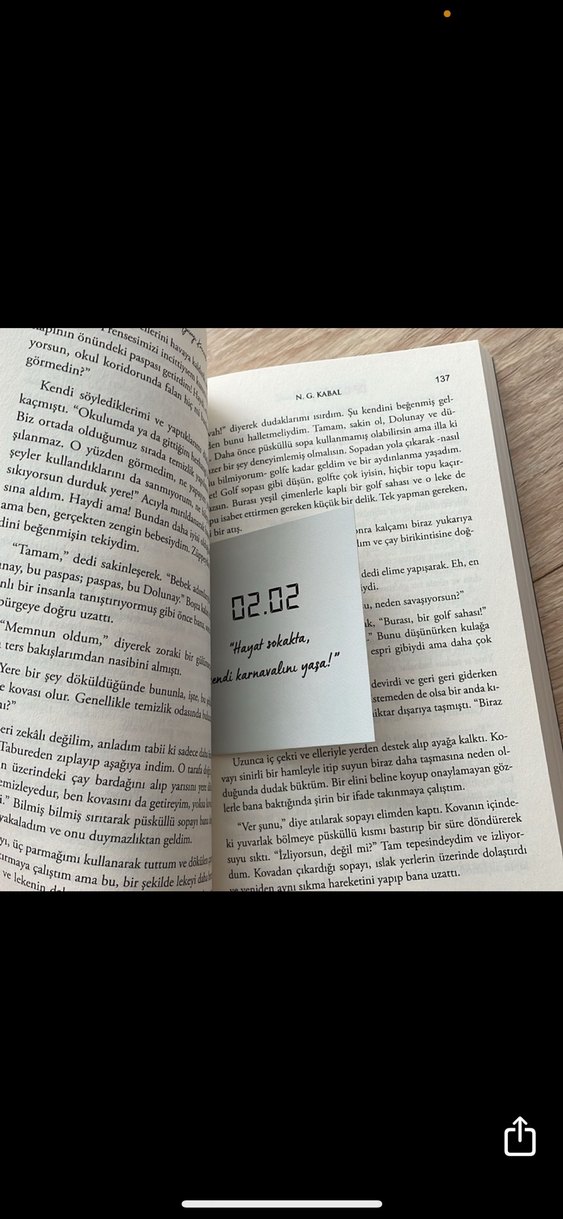 Ayçiçeği Karnavalı - N.G. Kabal - Görsel 2