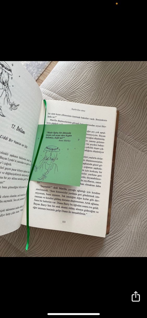 Yeşilin Kızı Anne - L.M. Montgomery - Görsel 3