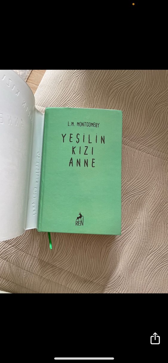 Yeşilin Kızı Anne - L.M. Montgomery - Görsel 2