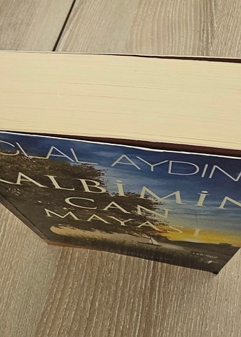 Kalbimin Can Mayası / İclal Aydın Kitap - Görsel 4