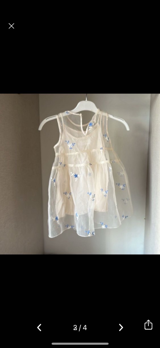 Zara Nakışlı Bej Şeffaf Kız Elbisesi - Görsel 2