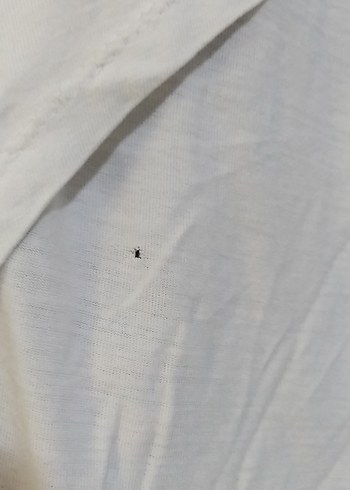 Beyaz V Yakalı plajlik crop - Görsel 2