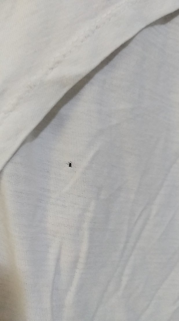 Beyaz V Yakalı plajlik crop - Görsel 2