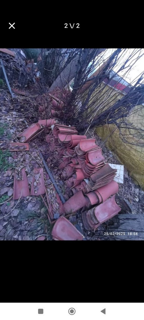 14 tlkiremit - Görsel 2