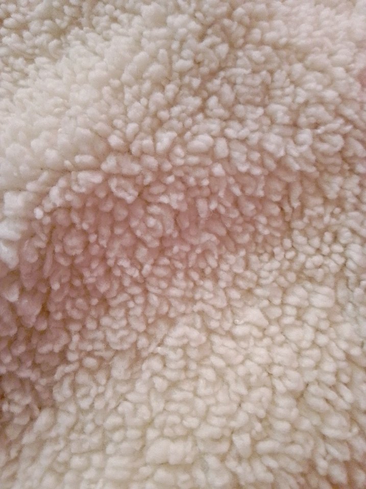 Kız Çocuk Beyaz Nakışlı polar Panço - Görsel 2