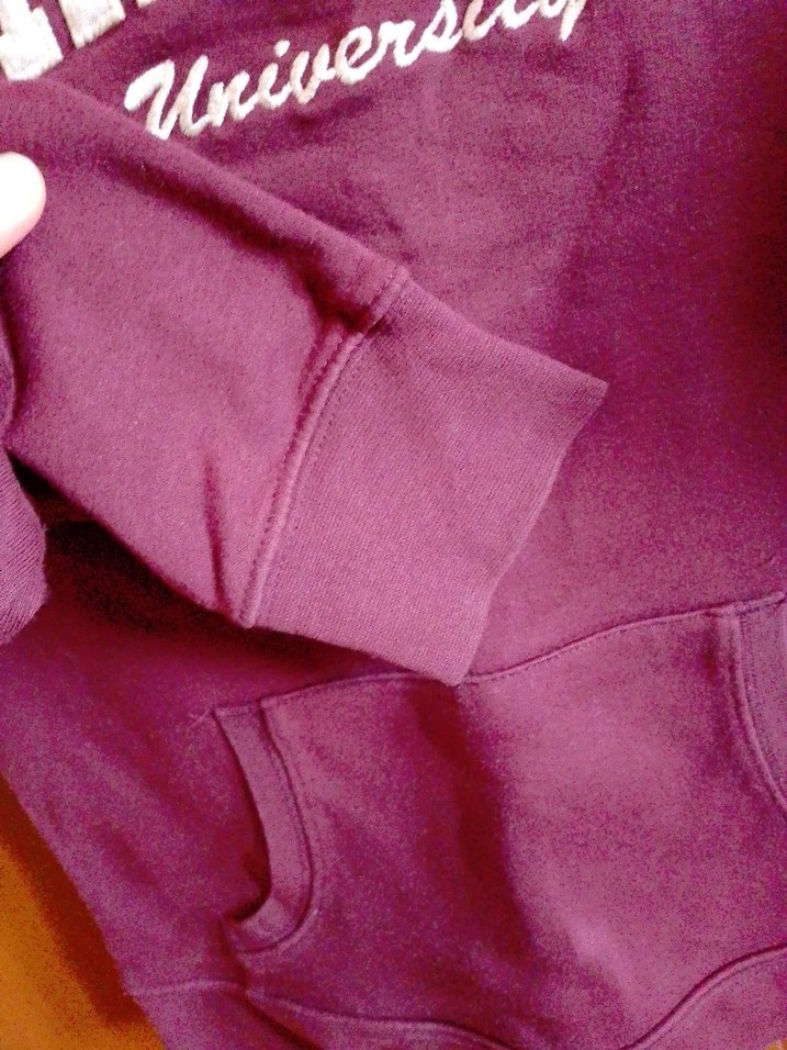 Bordo Kapüşonlu Harvard Baskılı Kadın Sweatshirt - Görsel 3