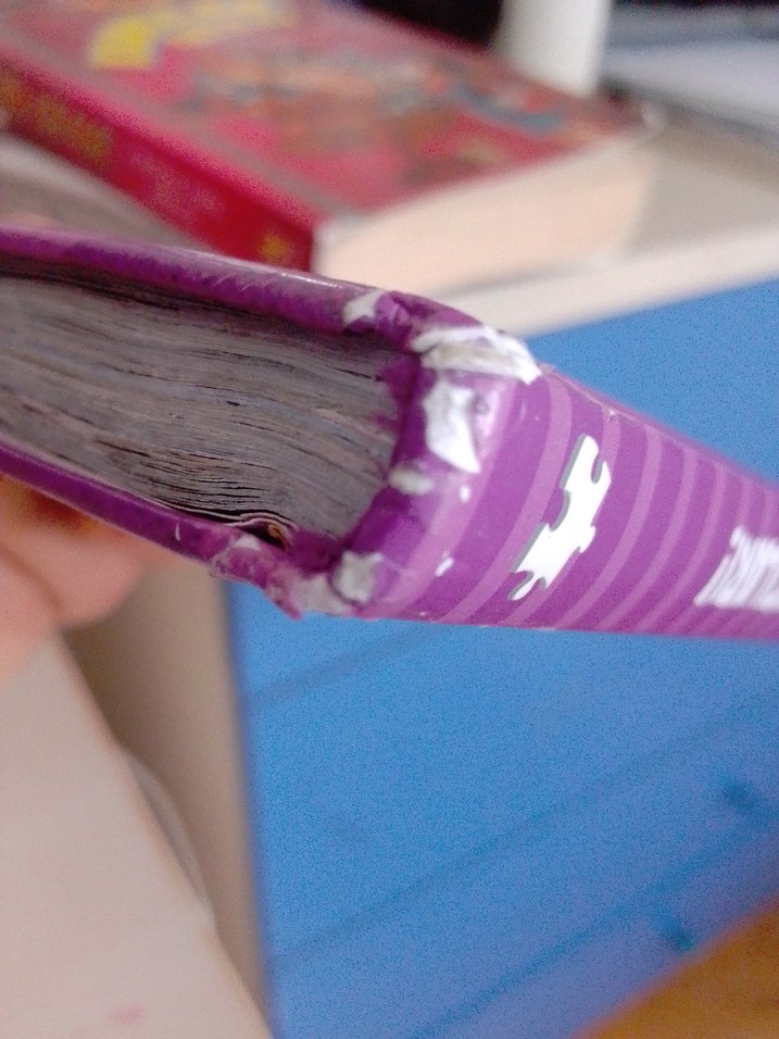 Kral Şakir Mikrop Avcıları Çocuk Kitabı - Görsel 3