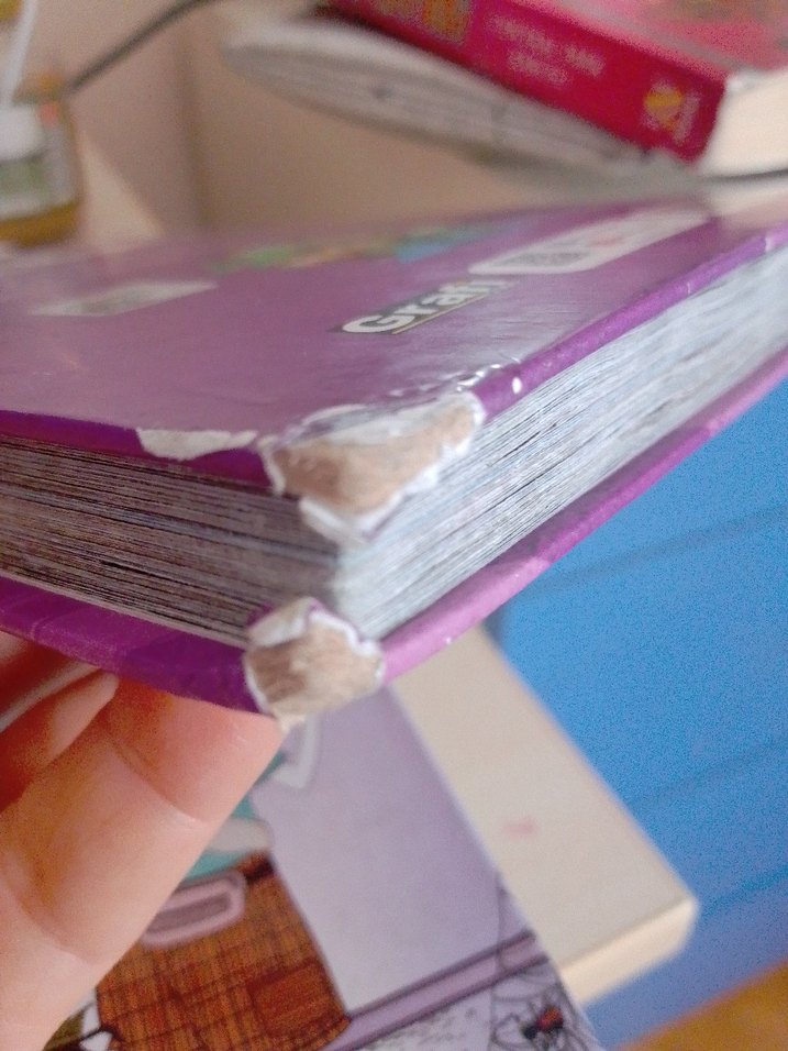 Kral Şakir Mikrop Avcıları Çocuk Kitabı - Görsel 2