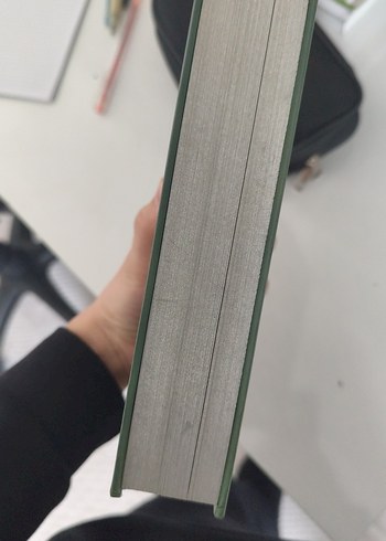 ADIGE PRENS - Zeynep Sahra - Görsel 2