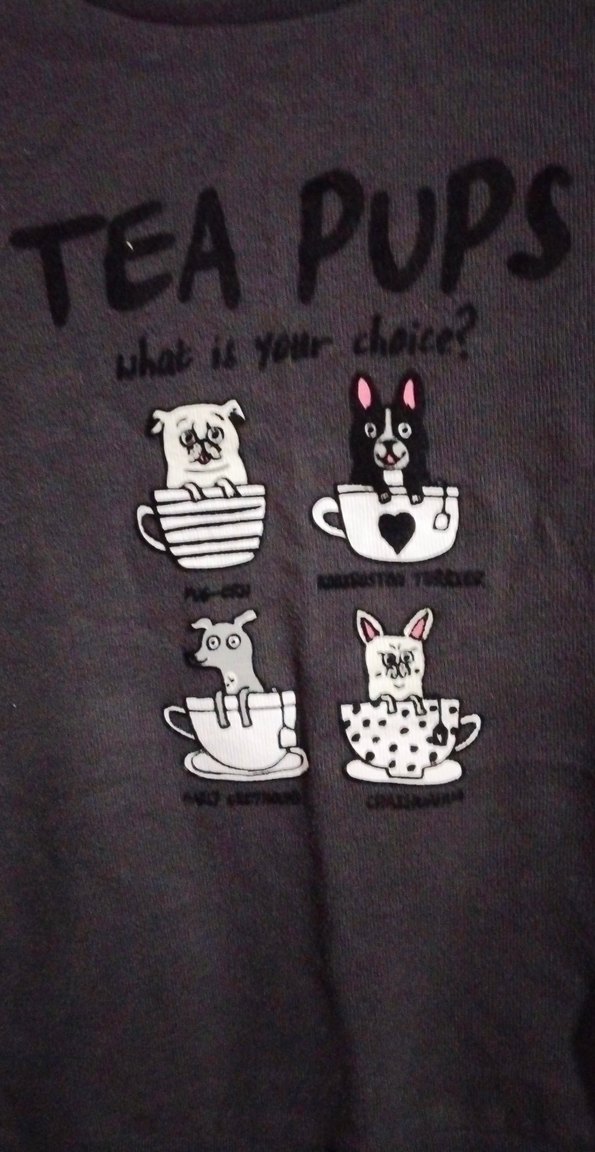 Kız Çocuk Gri Uzun Kollu Baskılı Sweatshirt - Görsel 2