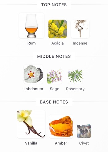 The Merchant Of Venice- Andalusion Soul - Görsel 5