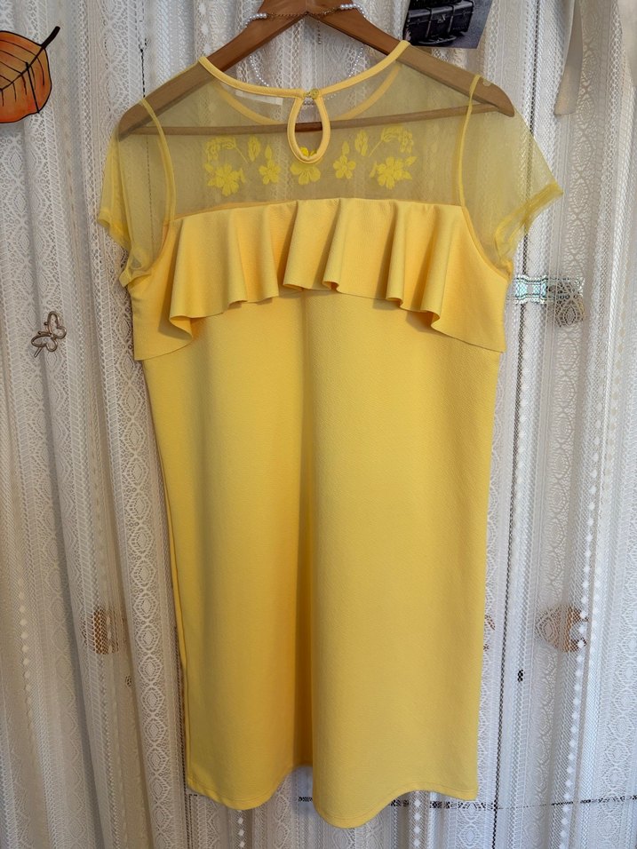 Sarı Tül ve Nakışlı Kısa Kollu Elbise - Görsel 5