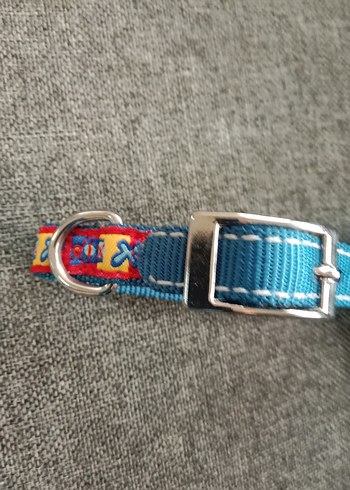 Renkli Mavi köpek Tasması - Görsel 3