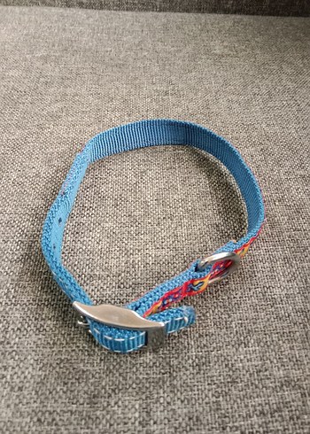 Renkli Mavi köpek Tasması - Görsel 2