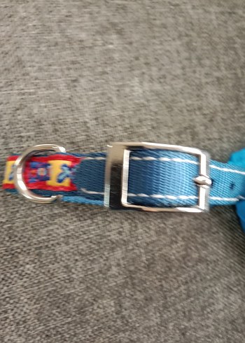 Renkli Mavi köpek Tasması - Görsel 5