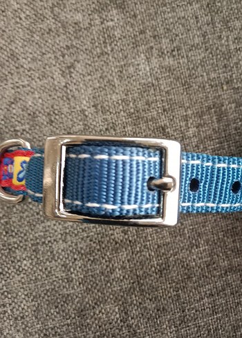 Renkli Mavi köpek Tasması - Görsel 4