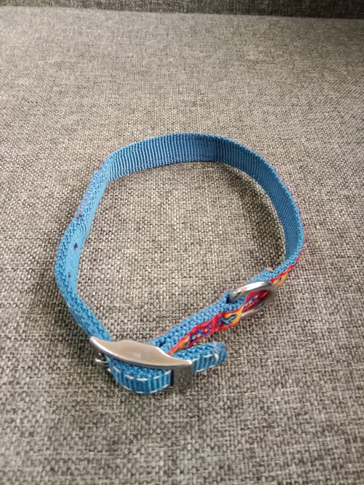 Renkli Mavi köpek Tasması - Görsel 2