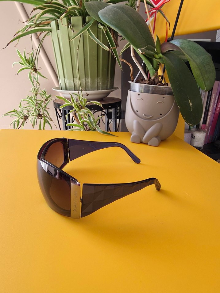 Kadın Quantum Parlak Retro Güneş Gözlüğü - Görsel 2